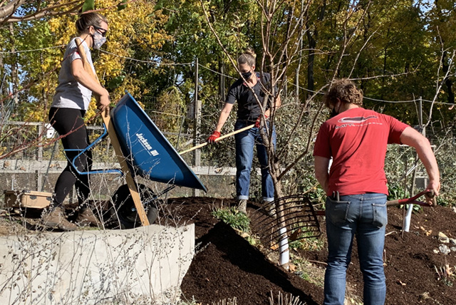 BDS Garden News Scoop 11.12.20 Student illustration of a car