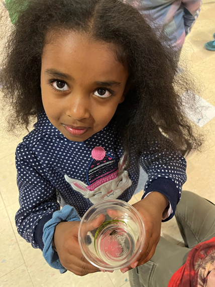 Magic the Gathering logo