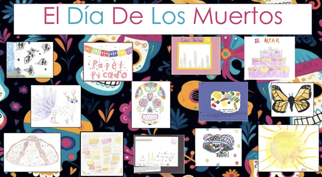 BDS Learning Update Spanish 11.03.23Scoop